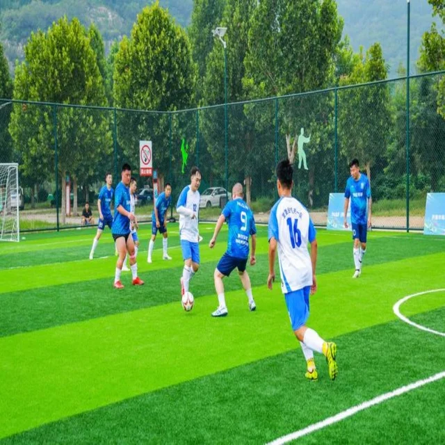 全红婵十米台：新生代天才的追梦之路